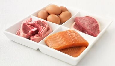 Basic principles of nutrition in a protein diet.